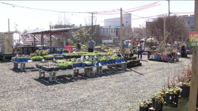 Growing interest in horticulture helps Philadelphia urban farm thrive - fox29.com - city Philadelphia