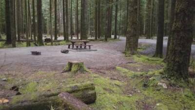 Kamil Karamali - Revamped B.C. camping reservation website launches Monday - globalnews.ca
