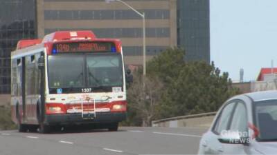TTC bus driver pulls over to help man in distress on bridge - globalnews.ca