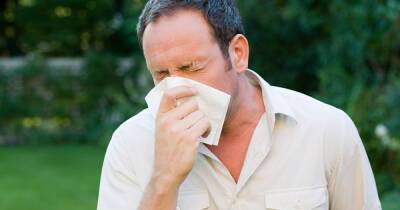 How to tell difference between hay fever and Covid as warm weather sparks surge in symptoms - dailyrecord.co.uk - Scotland