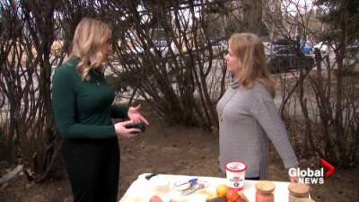 Lauren Pullen - Simple ways to save: Calgary home economist shares food tips - globalnews.ca