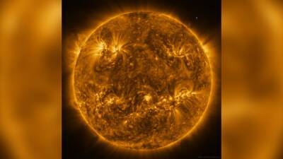 Mysterious, unexpectedly fast new wave found in the sun, researchers say - fox29.com