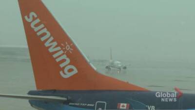 WestJet plans to buy Sunwing Airlines - globalnews.ca - Canada