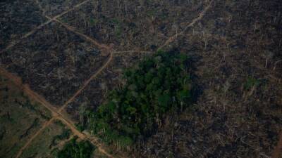 Joe Biden - Nearly 80% of Amazon rainforest shows signs of loss, study finds - fox29.com - Britain - Argentina - Brazil - state Amazonas