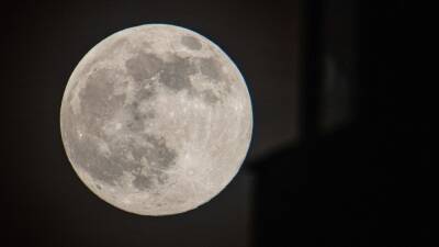 Nicolas Economou - Artemis I (I) - Full pink moon rises this weekend: What to know - fox29.com - Usa - New York, Usa - Netherlands