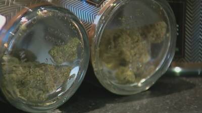 Could NJ recreational marijuana sales affect medical patients? - fox29.com - county Garden - state New Jersey - city Elizabeth, state New Jersey