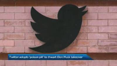 Elon Musk’s Twitter bid prompts company to adopt ‘poison pill’ defence - globalnews.ca