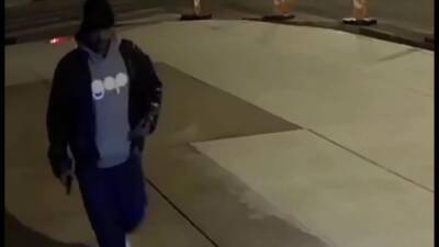 Henry Avenue - Suspect wanted in thefts, attempted burglary of Dalessandro's Steaks, police say - fox29.com - city Philadelphia