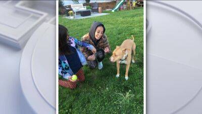 New Jersey family adopts dog of terminally ill Philadelphia woman - fox29.com - state New Jersey