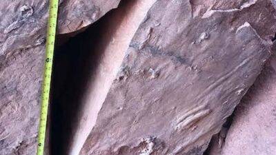 Triassic-period fossils stolen from Capitol Reef National Park - fox29.com - county Park - state Utah