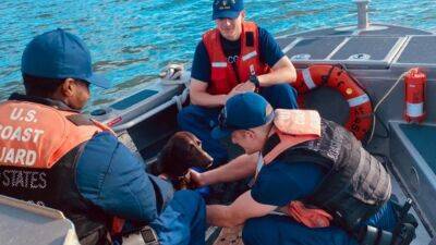 Coast Guard rescues dog who fell overboard in North Carolina - fox29.com - state North Carolina