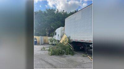 ‘I was smoking my meth pipe’: Florida man totals tractor-trailer during delivery to Publix shopping center - fox29.com - state Florida - city Haines, state Florida