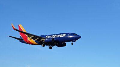 Unruly Southwest passenger sentenced to prison for punching flight attendant - fox29.com - county San Diego
