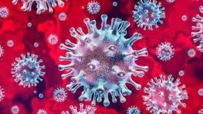 How does the coronavirus evolve in humans? New IIT Delhi study reveals - livemint.com - India - city Delhi