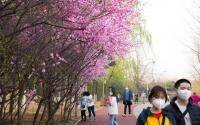 China's hot spots start easing COVID-19 restrictions - cidrap.umn.edu - China - city Beijing - Usa - city Shanghai