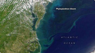Caught on satellite: Phytoplankton bloom spotted off the mid-Atlantic - fox29.com - Usa