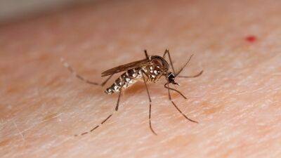 Philadelphia health officials say West Nile positive mosquitoes are in the region - fox29.com - state Pennsylvania - county Bucks - city Philadelphia - county Cumberland - Montgomery - county Philadelphia