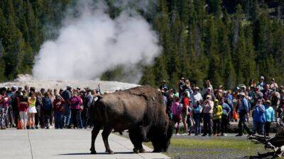 Yellowstone reopens for the first time since June floods caused evacuation of thousands - fox29.com - India - city Las Vegas - Canada - state Montana - state Wyoming - city Chennai, India - county Canyon - city Vancouver, Canada