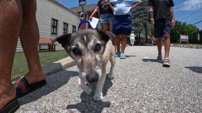 'He was the one': Hundreds of dogs, cats find homes after Brandywine Valley SPCA mega adoption event - fox29.com - Germany - state Pennsylvania - county Chester - city West Chester, state Pennsylvania