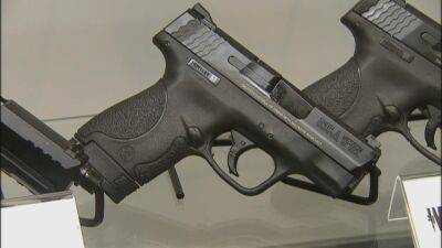 Delaware Senate OKs bill limiting firearm magazine capacity - fox29.com - state Delaware