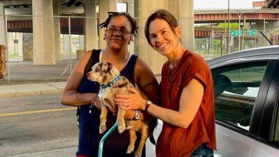 Hilary Swank - Hilary Swank finds lost dog, reunites with owner in heartwarming photo - fox29.com - state New York - Albany, state New York