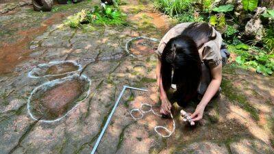 Diner discovers 100-million-year-old dinosaur footprints at restaurant in China - fox29.com - China - city Beijing - city London - province Sichuan