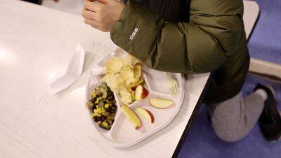 Michael Loccisano - No more pandemic-era free lunches at most US schools this year - fox29.com - Usa - city New York