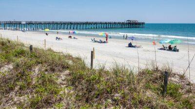 Jeffrey Greenberg - Woman killed by a flying umbrella on a South Carolina beach - fox29.com - county Garden - state Delaware - county Park - state South Carolina - county Atlantic - county Ocean - county Horry