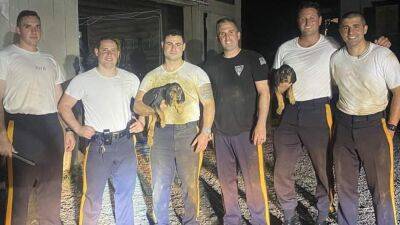 New Jersey state troopers rescue 3 puppies from 10-foot trench using mop, rope - fox29.com - state New Jersey - county Hamilton - county Mercer