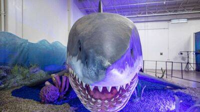 Daniel Knighton - Giant sharks once roamed the earth with a mega-appetite, research shows - fox29.com - New York - state California