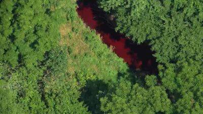 South Jersey - Portion of Pennsauken Creek runs red after food dye discharged from nearby plant, officials say - fox29.com - state New Jersey - county Hill - Jersey - county Cherry