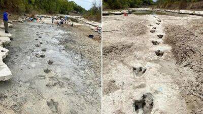 Dinosaur tracks unearthed in Texas state park as drought dries river - fox29.com - state Texas - county Valley