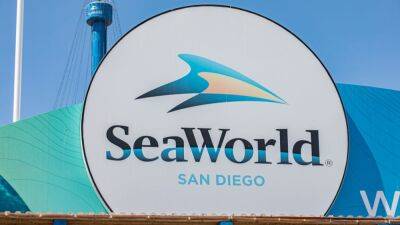 Daniel Knighton - SeaWorld San Diego's 20-year-old killer whale Nakai dies after infection - fox29.com - state California - county San Diego