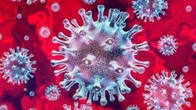 Shape of coronavirus can tell how quickly virus will spread, study claims - livemint.com - India