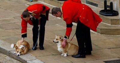 Royal Family - Elizabeth Ii Queenelizabeth (Ii) - Windsor Castle - queen Elizabeth - Winston Churchill - The queen’s beloved corgis and pony brought out to say goodbye during funeral - globalnews.ca - Britain - city Sandy