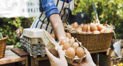 Sri Lanka to review egg prices - newsfirst.lk - Sri Lanka