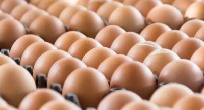 Nalin Fernando - Cabinet gives green light to import eggs, again - newsfirst.lk - Usa - India - Sri Lanka