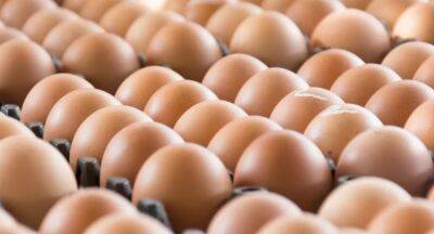 Nalin Fernando - Sri Lanka to start importing eggs next week - newsfirst.lk - Sri Lanka