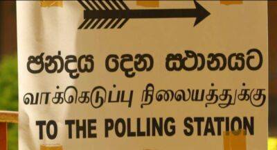 LG Poll: 30,000 Postal Voting applications rejected - newsfirst.lk