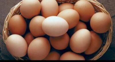 Cabinet nod to import eggs from India - newsfirst.lk - India - Sri Lanka
