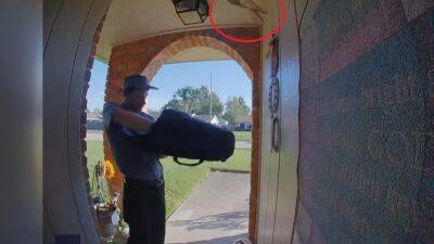 Caught on camera: Squirrel jumps into home during pizza delivery - fox29.com