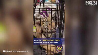 Phoenix Police - Arizona man indicted, accused of trying to sell tiger cub on social media - fox29.com - Usa - state Arizona