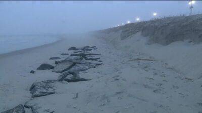 How coconuts protect the Jersey Shore, other eroding coasts - fox29.com - Usa - Indonesia - state New Jersey - Jersey - city Sandy