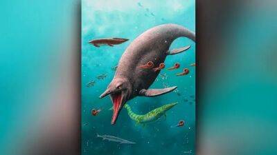Oldest sea reptile remains from 2 million years ago found on Arctic island - fox29.com - Norway - Sweden - city Oslo