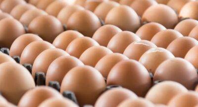 Eggs imported from India sent for testing - newsfirst.lk - India