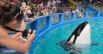 Lolita the orca to be freed to ‘home waters’ after 50+ years in captivity - globalnews.ca - Usa - state Florida - state Washington - county Miami-Dade - city Indianapolis