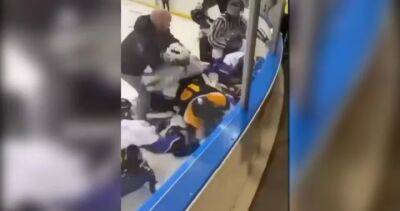 Hockey Canada - Edmonton hockey handshake brawl a ‘travesty to the game’: Officials - globalnews.ca - Canada - county Centre - region Edmonton