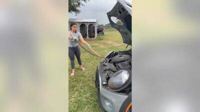 Texas mom fearlessly removes snake from daughter's car engine: video - fox29.com - state Washington - state Texas