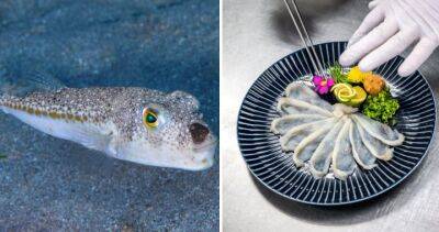 Elderly couple dies after eating poisonous pufferfish for lunch - globalnews.ca - Malaysia