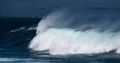 El Niño - An ancient coral reef teeming with life found in the Galapagos - globalnews.ca - Australia